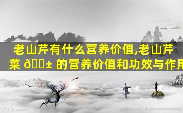 老山芹有什么营养价值,老山芹菜 🐱 的营养价值和功效与作用